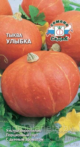 Тыква УЛЫБКА, 1.5г