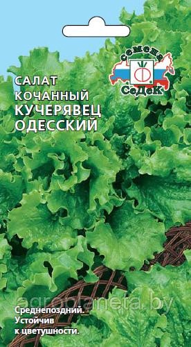 Салат КУЧЕРЯВЕЦ ОДЕССКИЙ, 0.5г