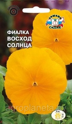 Фиалка ВОСХОД СОЛНЦА (швейцарский гигант), 0.05г