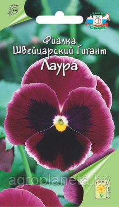 Фиалка ЛАУРА (швейцарский гигант), 0.05г