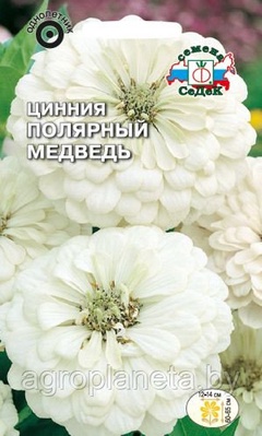 Цинния ПОЛЯРНЫЙ МЕДВЕДЬ (георгиновидная), 0.2г