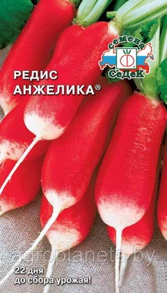 Редис АНЖЕЛИКА®, 3г